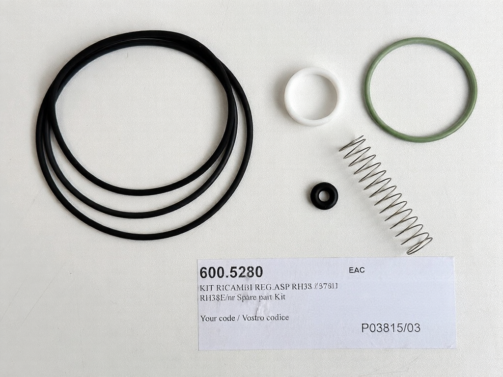 600.5280 Ремкомплект всасывающего клапана RH38E Remeza